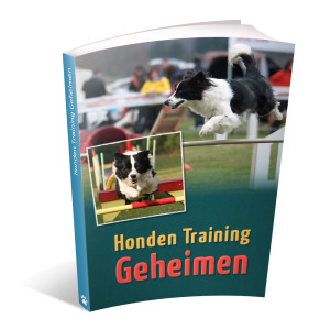 Op deze foto zie je de bonus: Honden Training Geheimen van het ebook Border Collie Geheimen