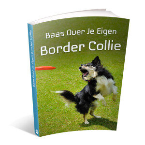 Op deze foto zie je de bonus: Baas over je eigen border collie van het ebook Border Collie Geheimen