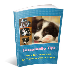Op deze foto zie je de bonus: Puppy tips van het ebook Border Collie Geheimen
