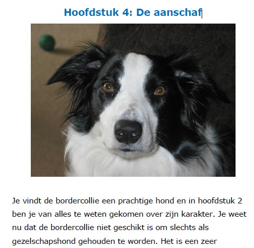 Op deze foto zie je hoofdstuk 4: de aanschaf van het Border Collie Geheimen Handboek