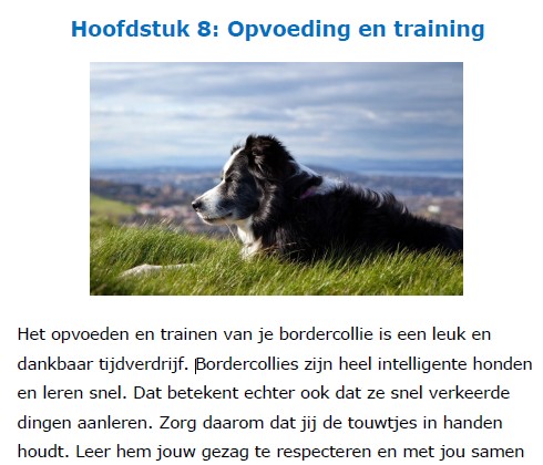 Op deze foto zie je hoofdstuk 8: Opvoeding en training van het Border Collie Geheimen Handboek